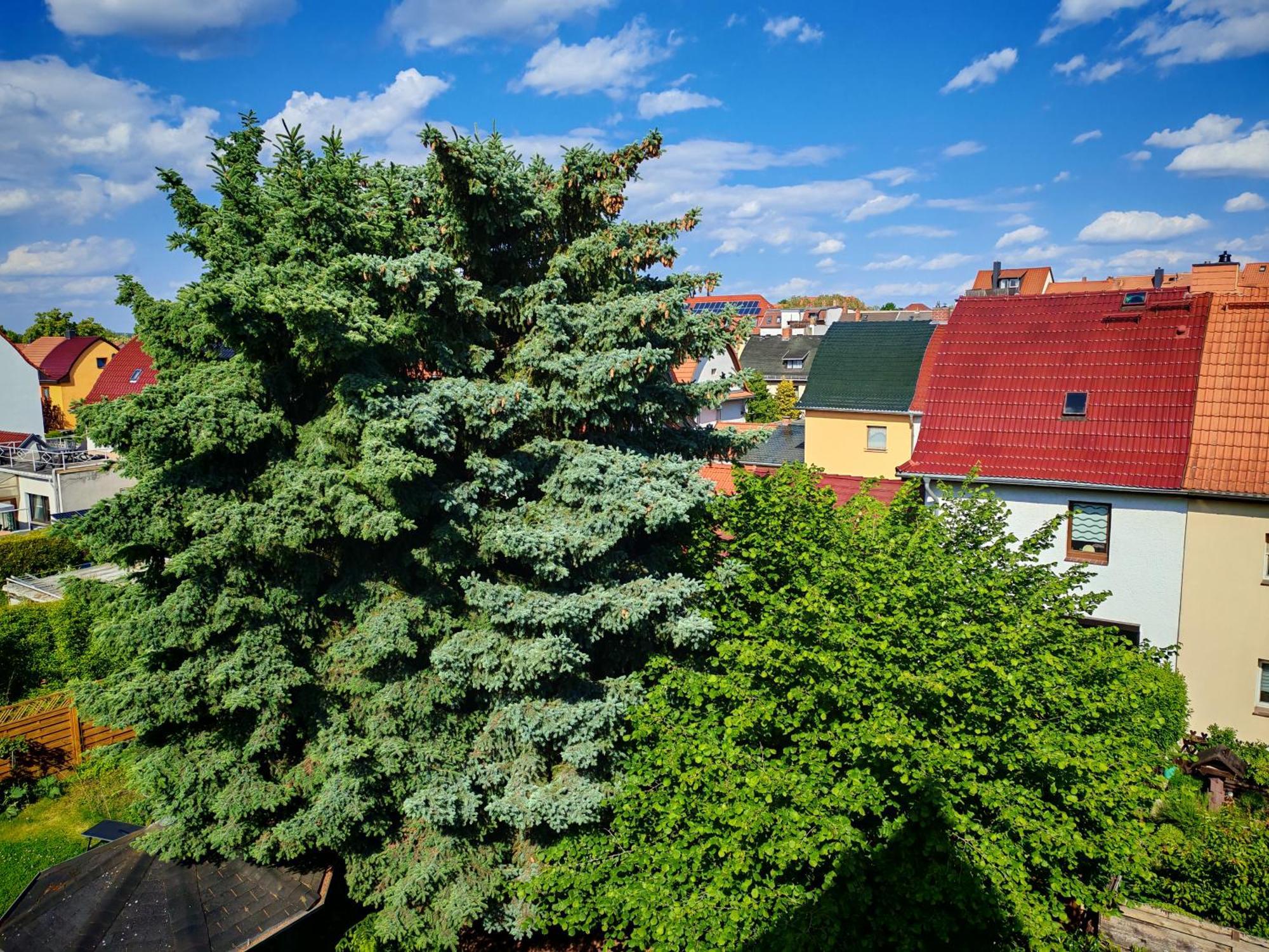 Domstadt Apartments Merseburg Zewnętrze zdjęcie